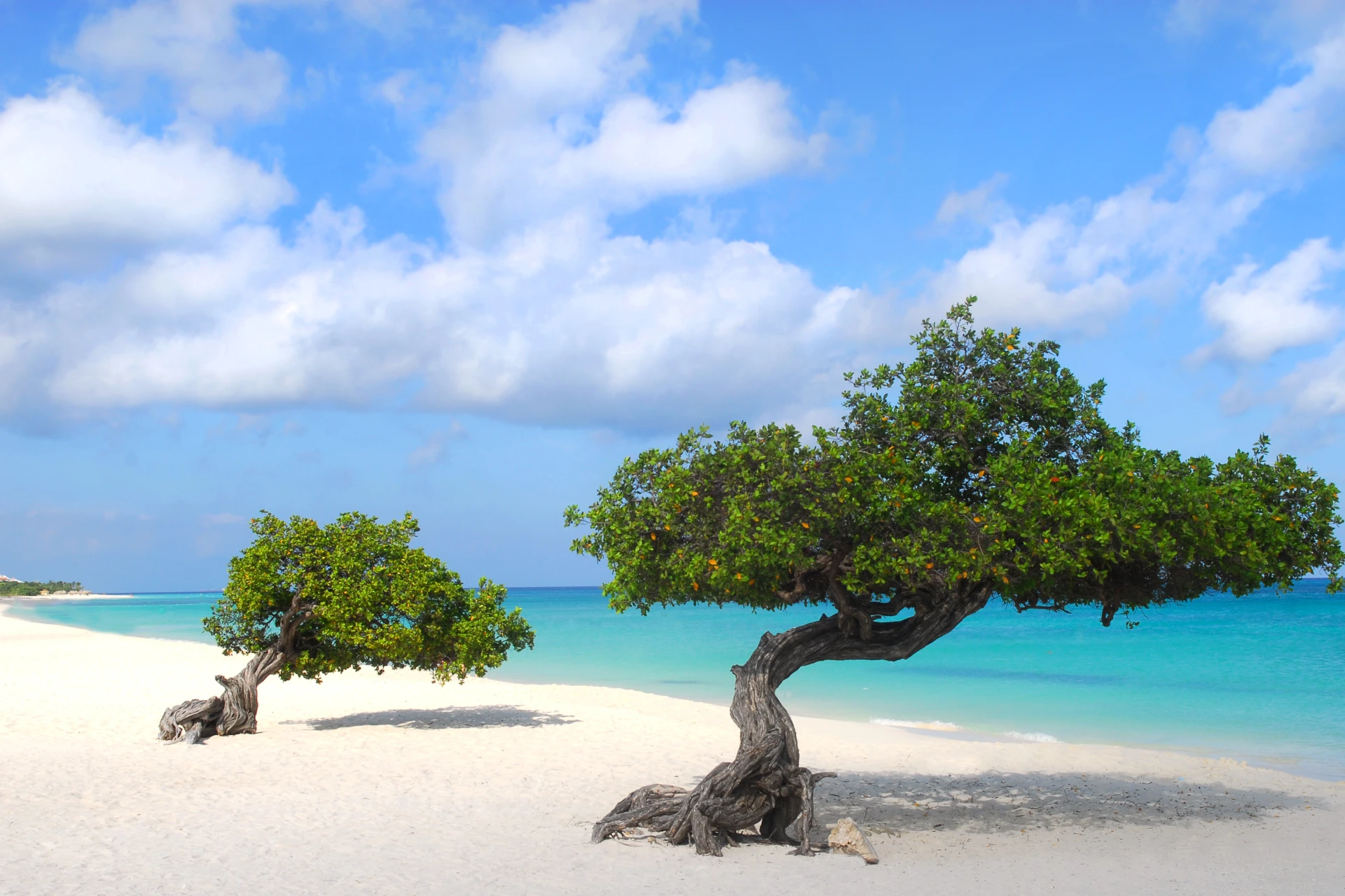 The Perfect Destination for Your Next Vacation