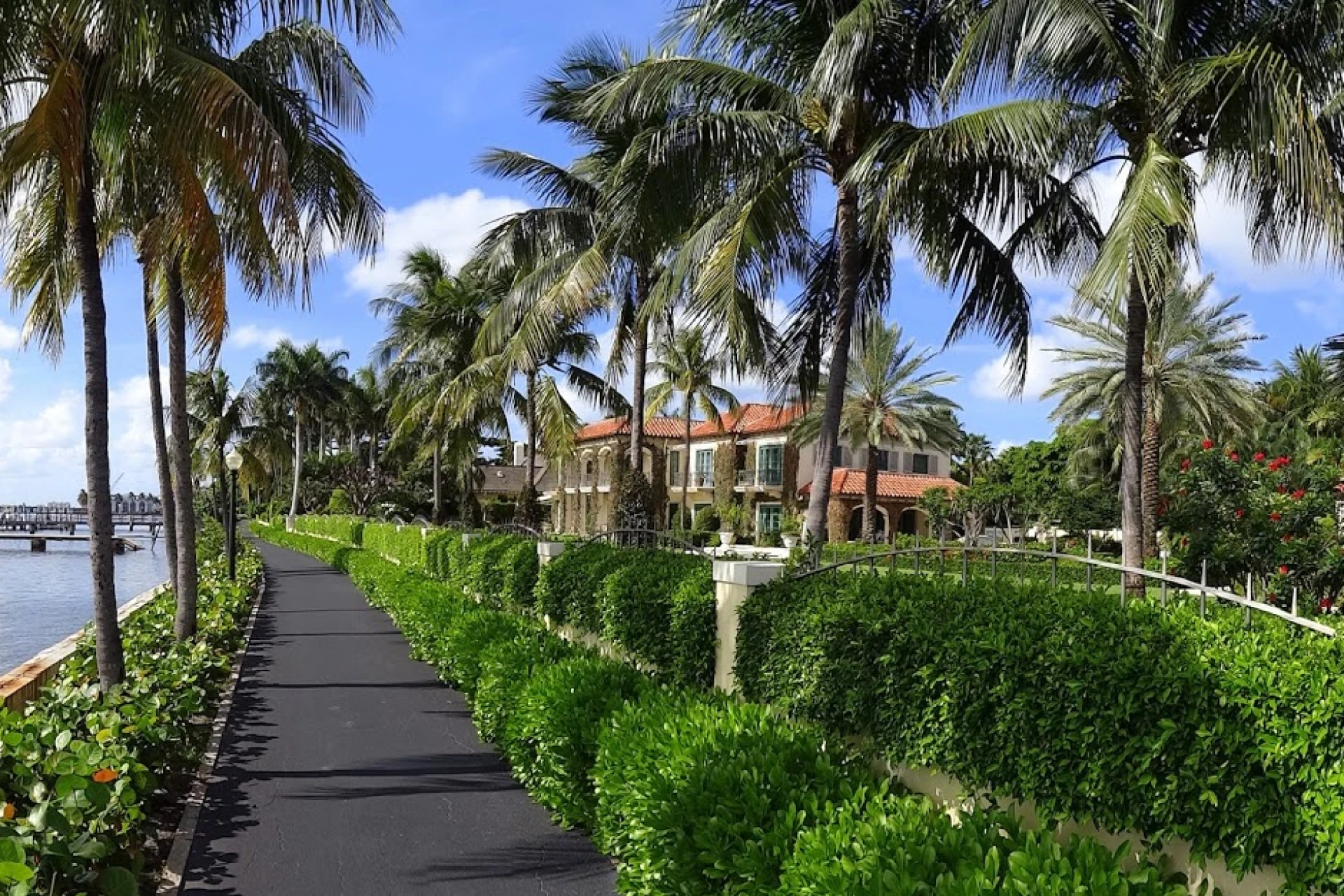 Activities you can do in Palm Beach