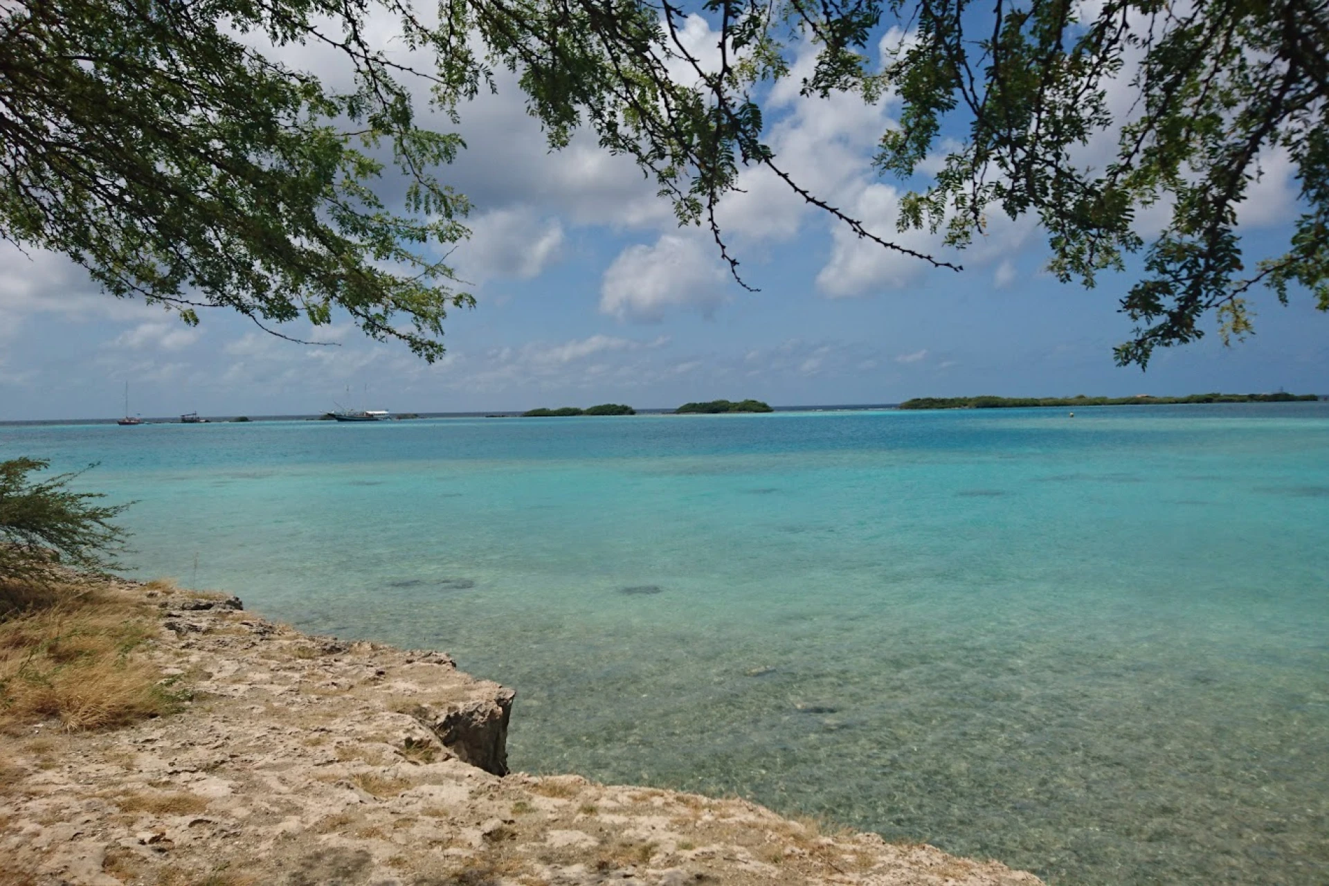 Activities you can do in Savaneta